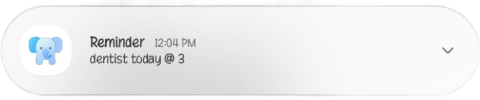 Reminder notification at 12:04pm: dentist today at 3