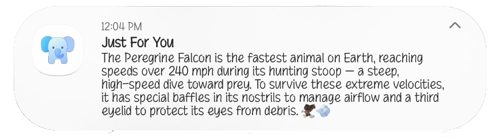 Just For You notification at 12:04pm sharing a fun fact